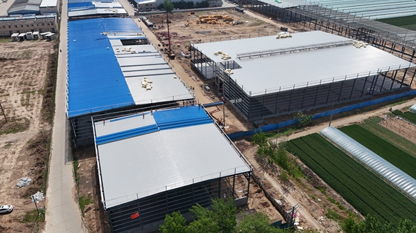 鋼結(jié)構(gòu)網(wǎng)架廠(chǎng)家